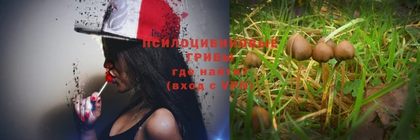 a pvp Мегион