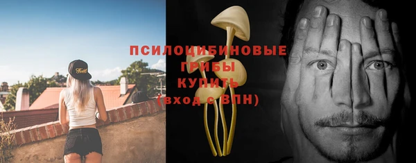 гидропоника Невельск