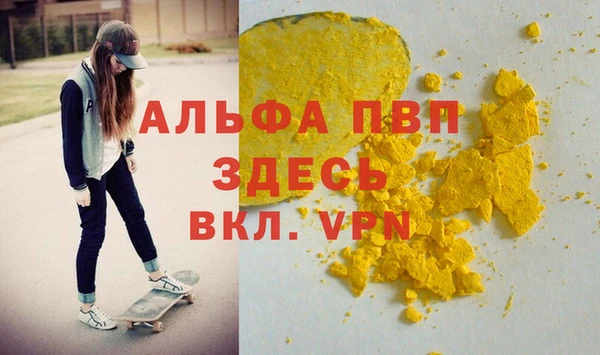 шишки Белокуриха