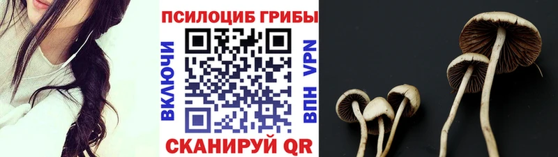 Псилоцибиновые грибы Cubensis  кракен онион  Руза 