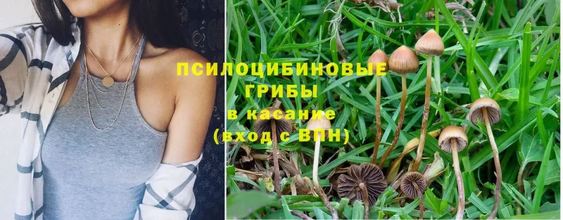 Галлюциногенные грибы Magic Shrooms  ссылка на мегу сайт  Руза  купить закладку 